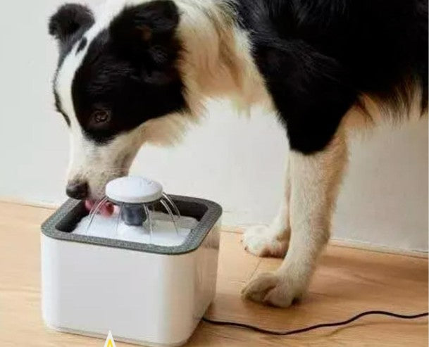 Fuente de Agua Mascotas